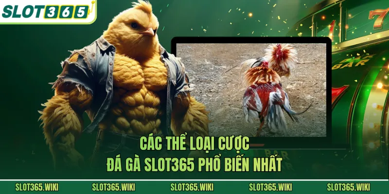 Các thể loại cược đá gà SLOT365 phổ biến nhất